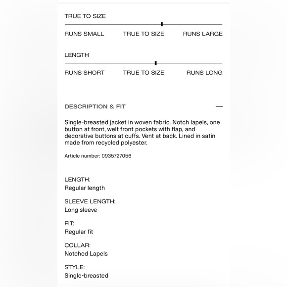 H&M Oversized Single-Breasted Jacket - Picture 5 of 5